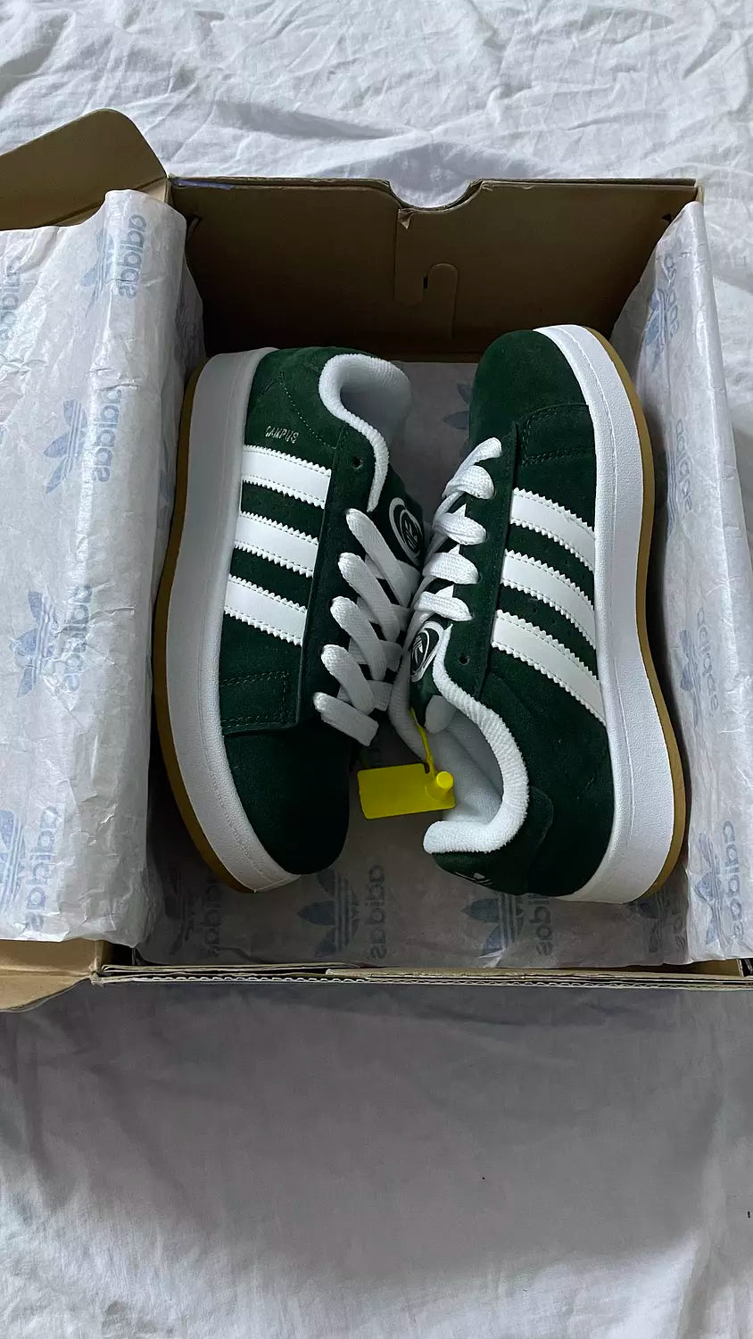 Adidas Campus in Green